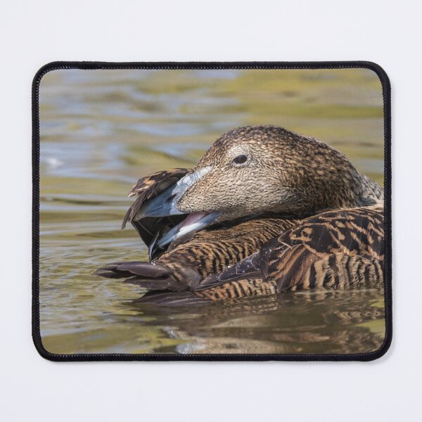 Item preview, Eider designed and sold by LaurenTucker.