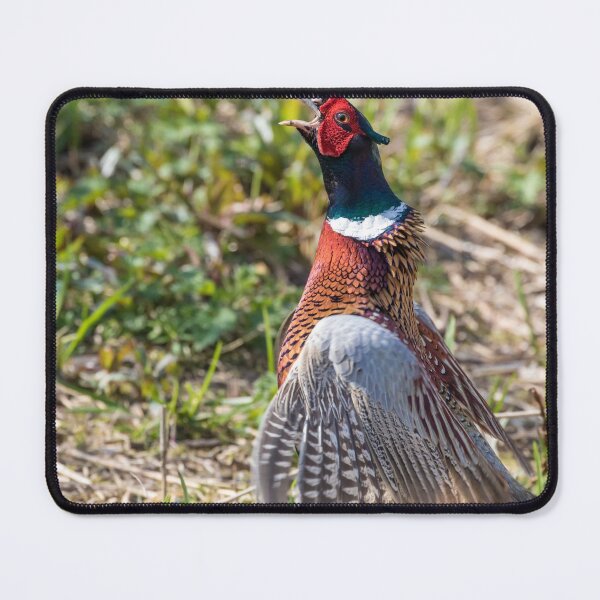 Item preview, Pheasant designed and sold by LaurenTucker.