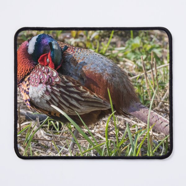 Item preview, Pheasant designed and sold by LaurenTucker.