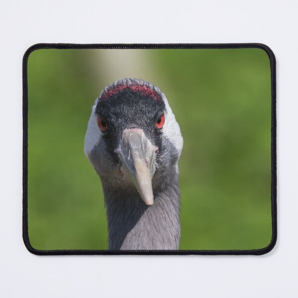 Item preview, Common Crane designed and sold by LaurenTucker.