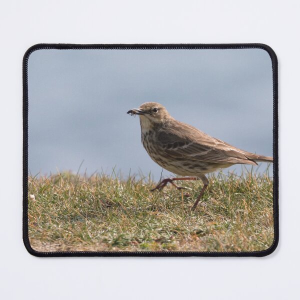 Item preview, Rock Pipit designed and sold by LaurenTucker.