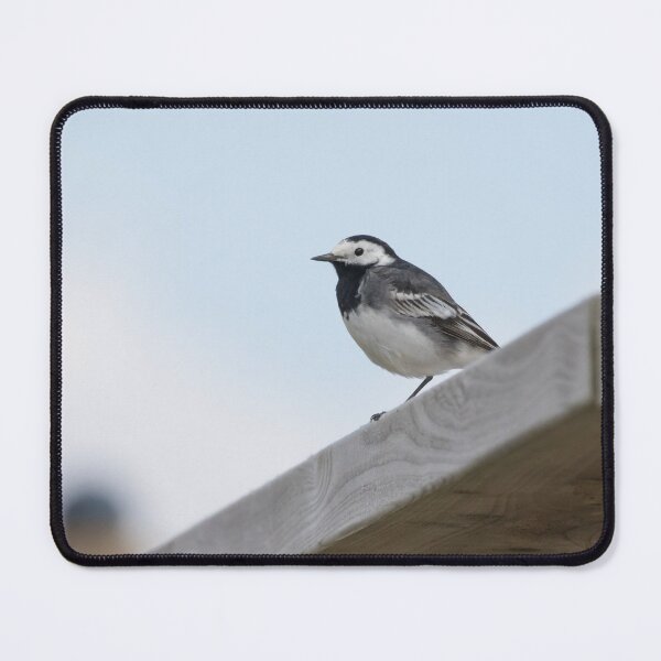 Item preview, Pied Wagtail designed and sold by LaurenTucker.