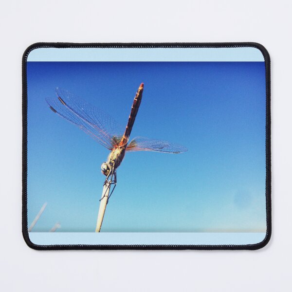 Item preview, Dragonfly in a headstand designed and sold by Christine Mignon.