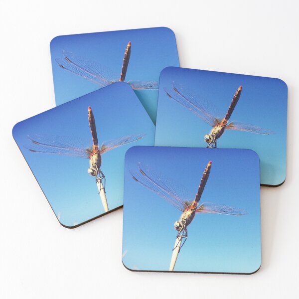 Item preview, Dragonfly in a headstand designed and sold by Christine Mignon.
