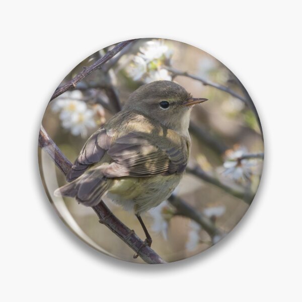Item preview, Chiffchaff designed and sold by LaurenTucker.