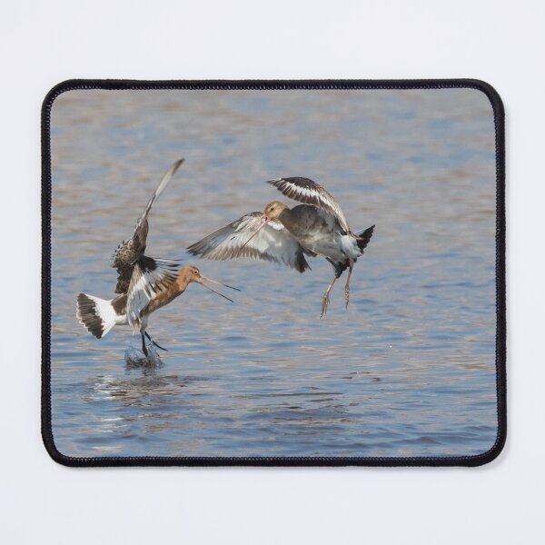 Item preview, Black Tailed Godwit designed and sold by LaurenTucker.