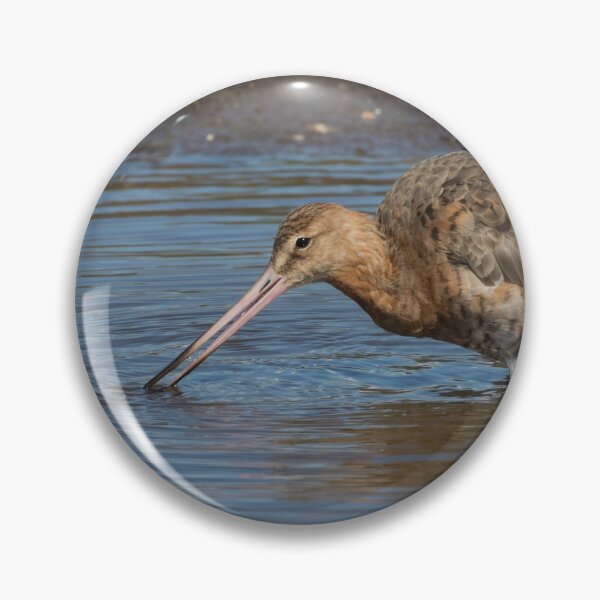 Item preview, Black Tailed Godwit designed and sold by LaurenTucker.