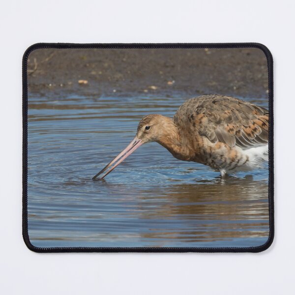 Item preview, Black Tailed Godwit designed and sold by LaurenTucker.