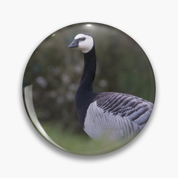 Item preview, Barnacle Goose designed and sold by LaurenTucker.