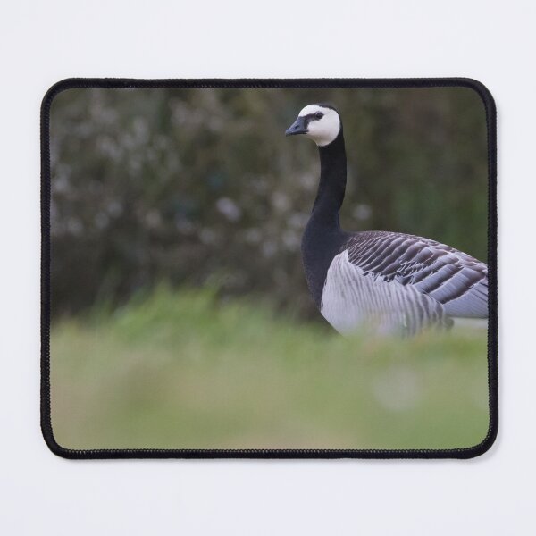 Item preview, Barnacle Goose designed and sold by LaurenTucker.