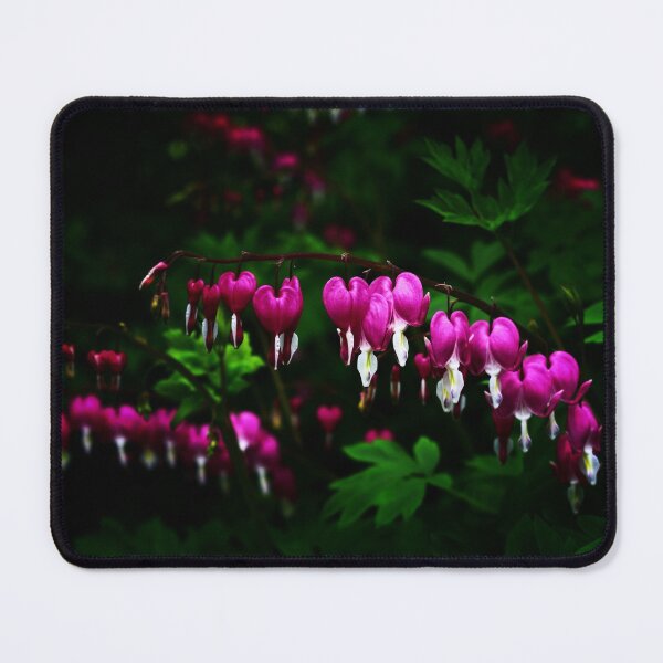 Item preview, Asian Bleeding Heart Flowers designed and sold by James DeFazio.