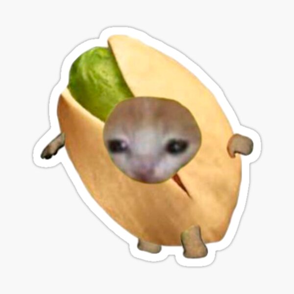 "meme cat pistachio" Sticker by salemfoxy Redbubble