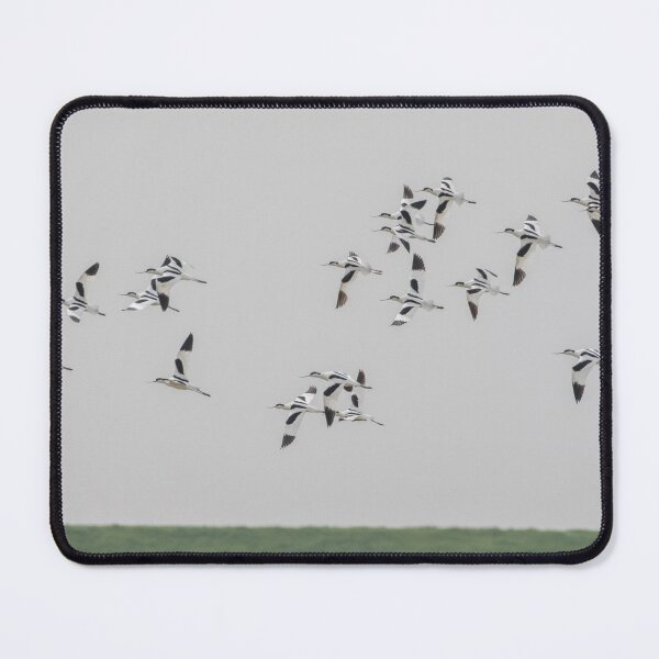Item preview, Avocet designed and sold by LaurenTucker.