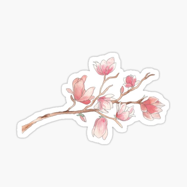 Watercolour Magnolia Sticker