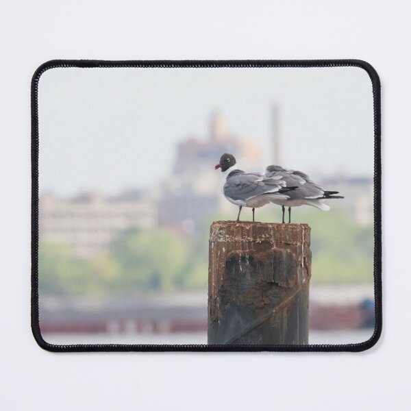 Item preview, Laughing Gull designed and sold by LaurenTucker.
