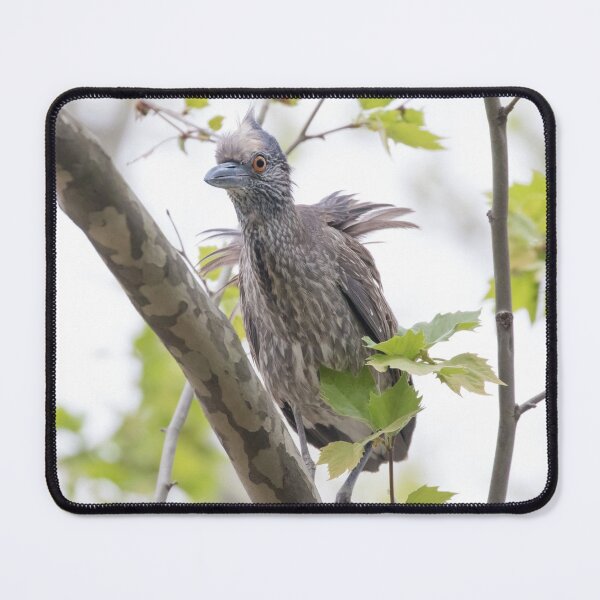 Item preview, Yellow Crowned Night Heron designed and sold by LaurenTucker.