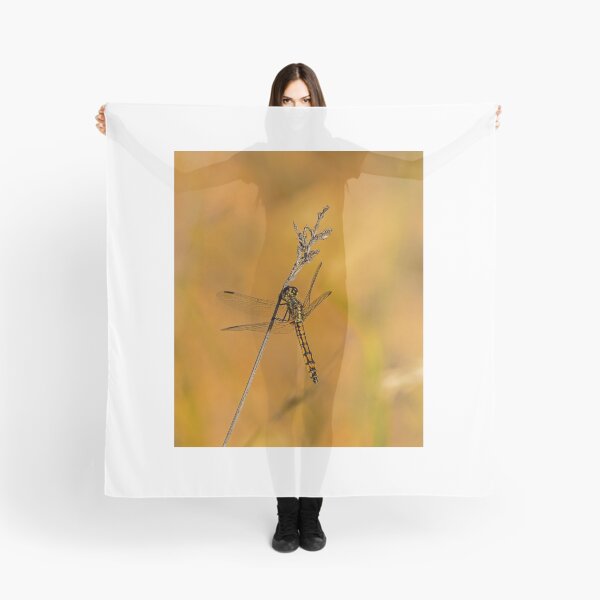 Item preview, Dragon has Landed designed and sold by Rick Playle.