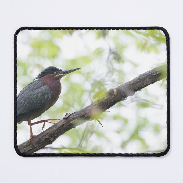 Item preview, Green Heron designed and sold by LaurenTucker.