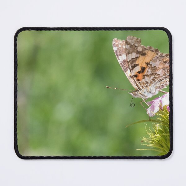 Item preview, Painted Lady designed and sold by LaurenTucker.