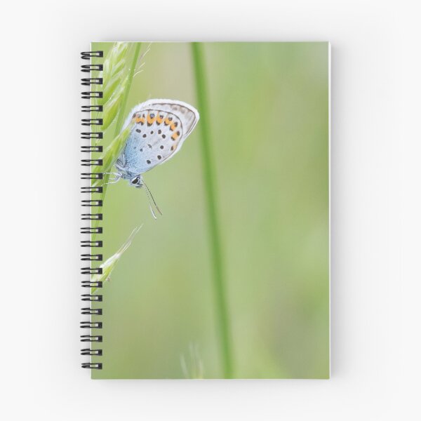 Item preview, Silver Studded Blue designed and sold by LaurenTucker.