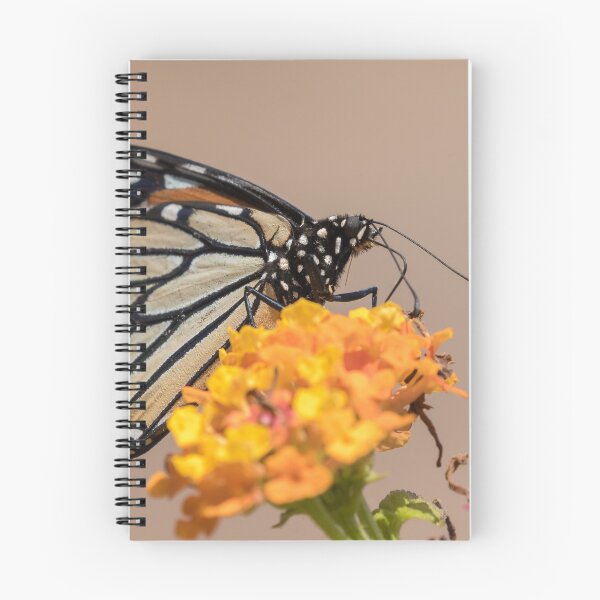 Item preview, Monarch designed and sold by LaurenTucker.
