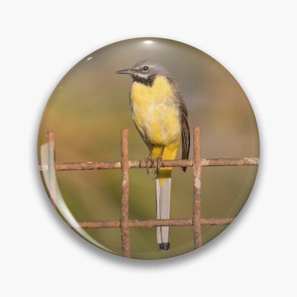 Item preview, Grey Wagtail designed and sold by LaurenTucker.