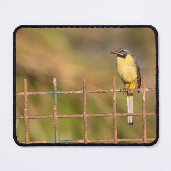 Item preview, Grey Wagtail designed and sold by LaurenTucker.