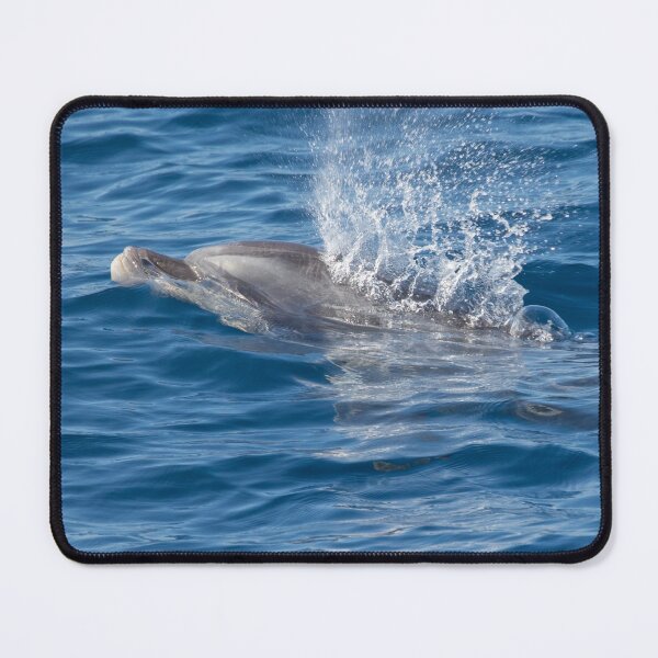 Item preview, Dolphin Watching designed and sold by LaurenTucker.