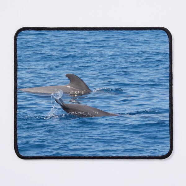 Item preview, Dolphin Watching designed and sold by LaurenTucker.
