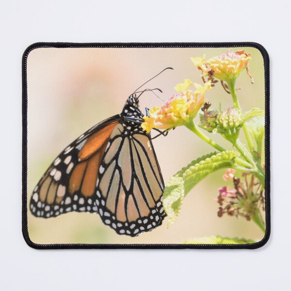 Item preview, Monarch designed and sold by LaurenTucker.