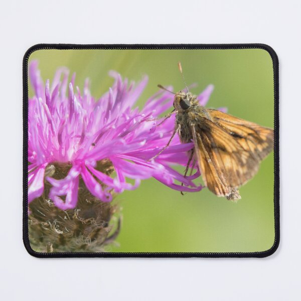 Item preview, Large Skipper designed and sold by LaurenTucker.