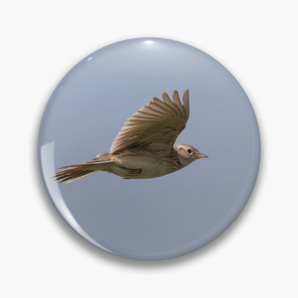 Item preview, Skylark designed and sold by LaurenTucker.