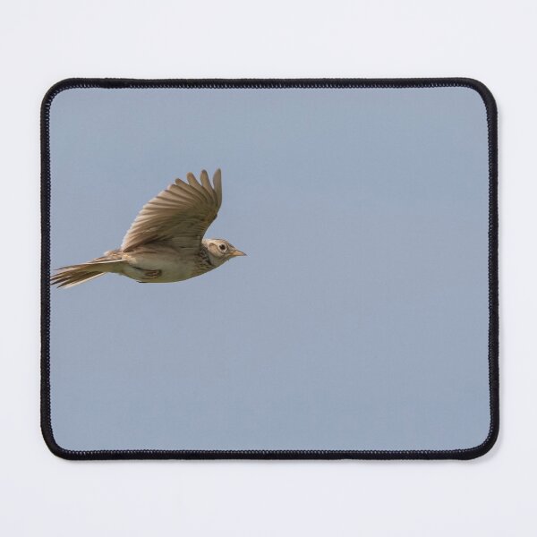 Item preview, Skylark designed and sold by LaurenTucker.