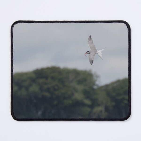 Item preview, Common Tern designed and sold by LaurenTucker.