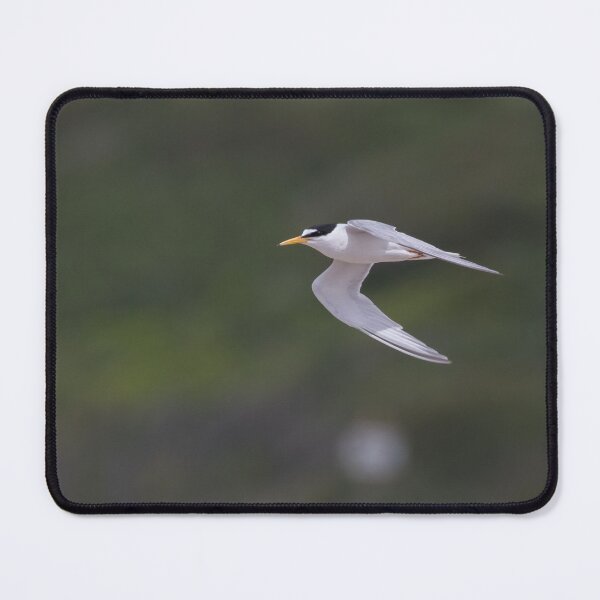 Item preview, Little Tern designed and sold by LaurenTucker.
