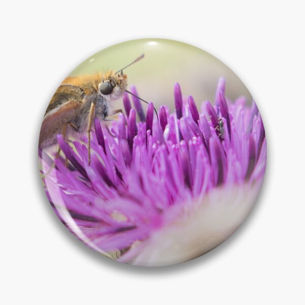Item preview, Lulworth Skipper designed and sold by LaurenTucker.