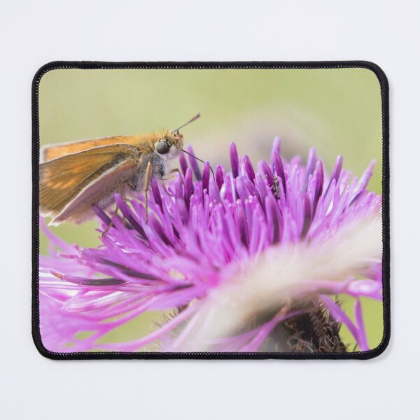 Item preview, Lulworth Skipper designed and sold by LaurenTucker.