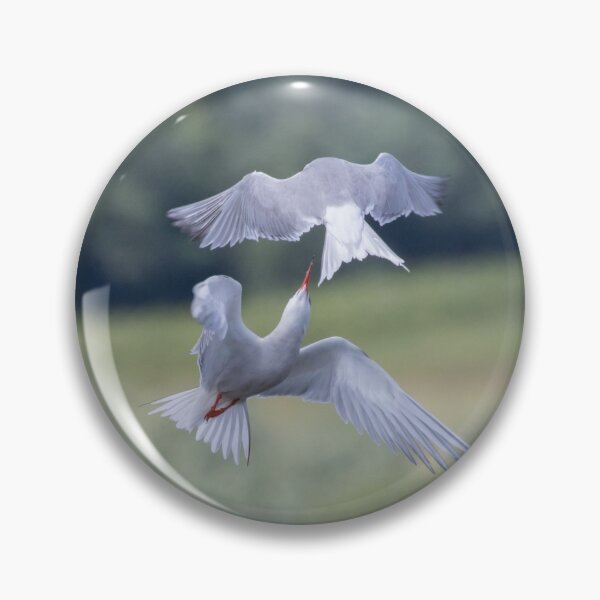 Item preview, Common Tern designed and sold by LaurenTucker.