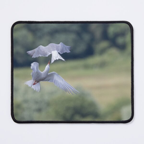 Item preview, Common Tern designed and sold by LaurenTucker.