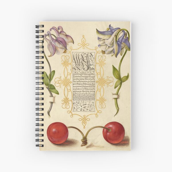 Item preview, Naturalist Manuscript: Flowers, Fruits and Calligraphy Illumination - European Columbines and Sweet Cherry by Joris Hoefnagel designed and sold by Naturalist Prints.
