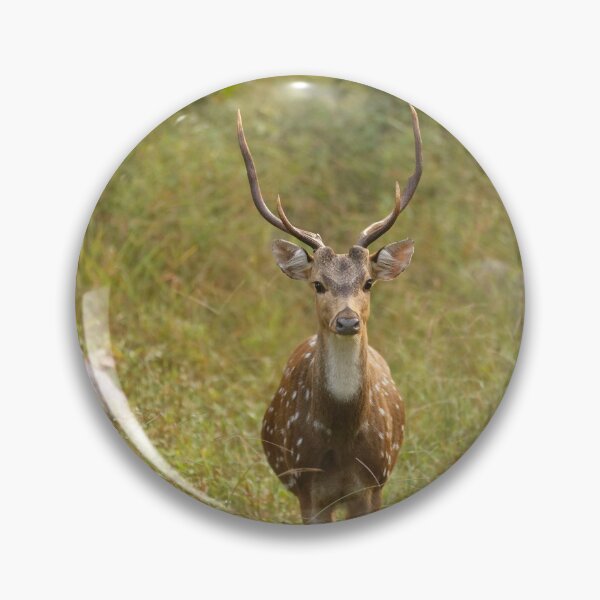 Aperçu de l'œuvre Cerf en forêt au parc national de Kanha en Inde, environnement naturel, pour des cadeaux personnels. créée et vendue par CameraDesign.