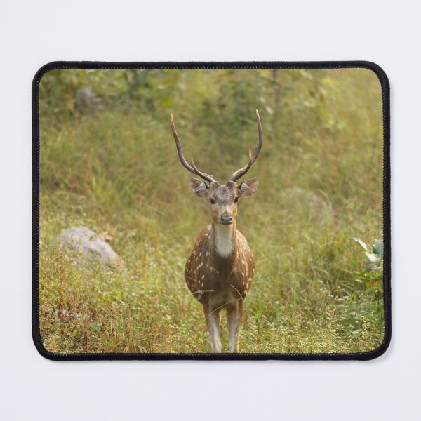 Item preview, Deer in Forest at Kanha national park India, natural environment, for personal gifts. designed and sold by CameraDesign.