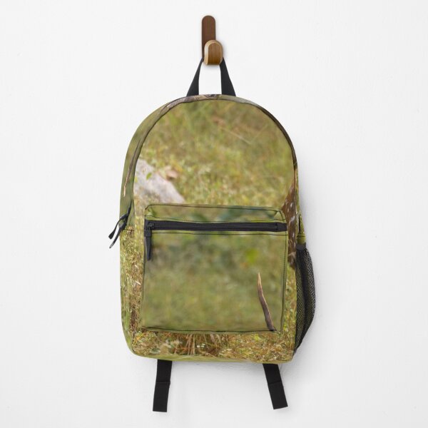 Item preview, Deer in Forest at Kanha national park India, natural environment, for personal gifts. designed and sold by CameraDesign.