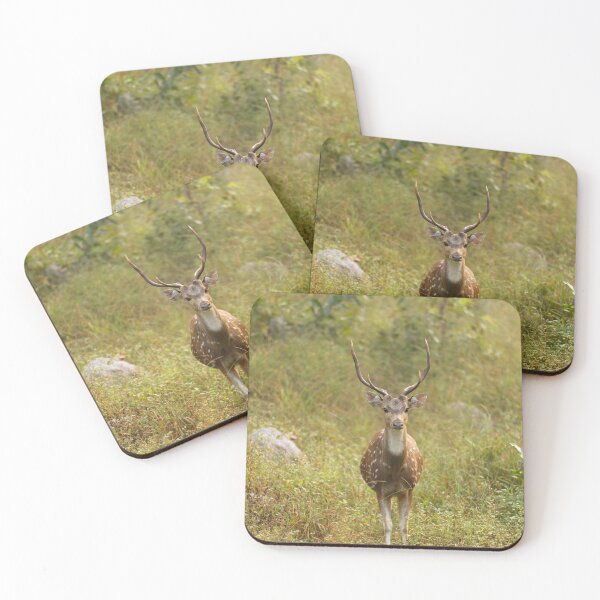 Item preview, Deer in Forest at Kanha national park India, natural environment, for personal gifts. designed and sold by CameraDesign.