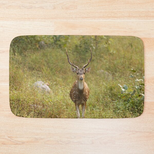 Item preview, Deer in Forest at Kanha national park India, natural environment, for personal gifts. designed and sold by CameraDesign.