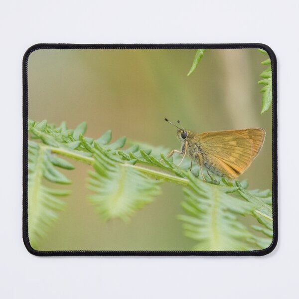 Item preview, Large Skipper designed and sold by LaurenTucker.