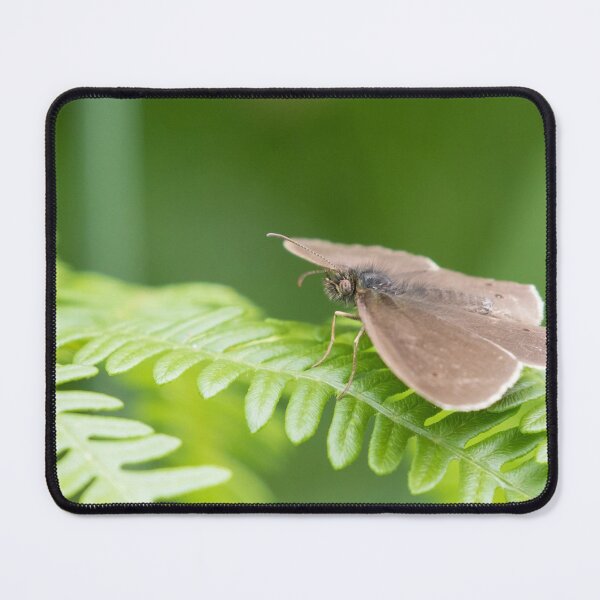 Item preview, Ringlet designed and sold by LaurenTucker.