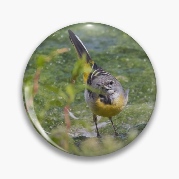 Item preview, Grey Wagtail designed and sold by LaurenTucker.