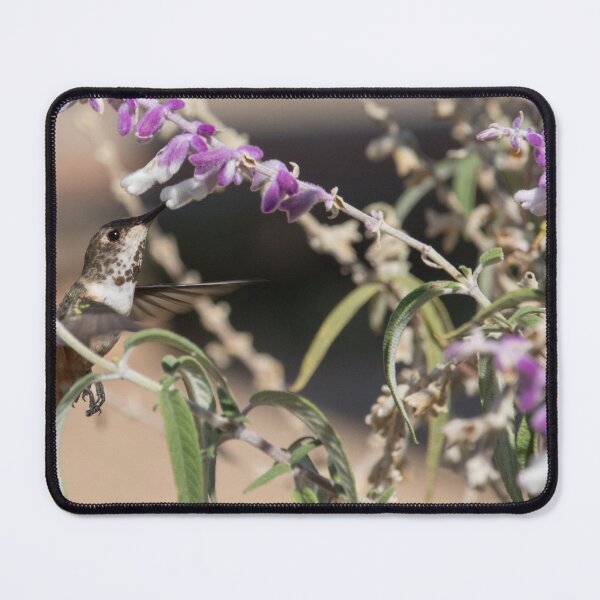 Item preview, Allen's Hummingbird designed and sold by LaurenTucker.