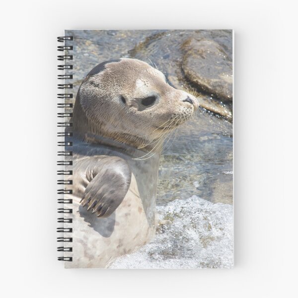 Item preview, Seal Pup designed and sold by LaurenTucker.